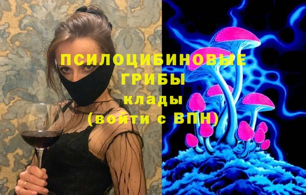 первитин Новодвинск