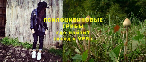 первитин Новодвинск