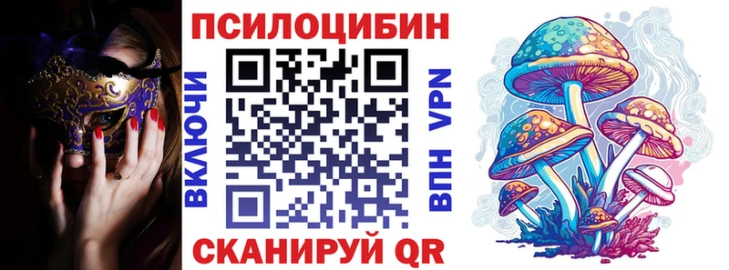 купить  цена  Калач  Псилоцибиновые грибы MAGIC MUSHROOMS 